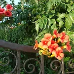 Hébergement de vacances Casa Sole *