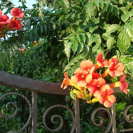 Σπίτι διακοπών Casa Sole *