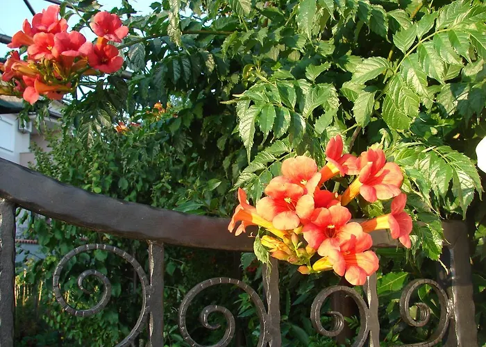 펜션 Casa Sole *